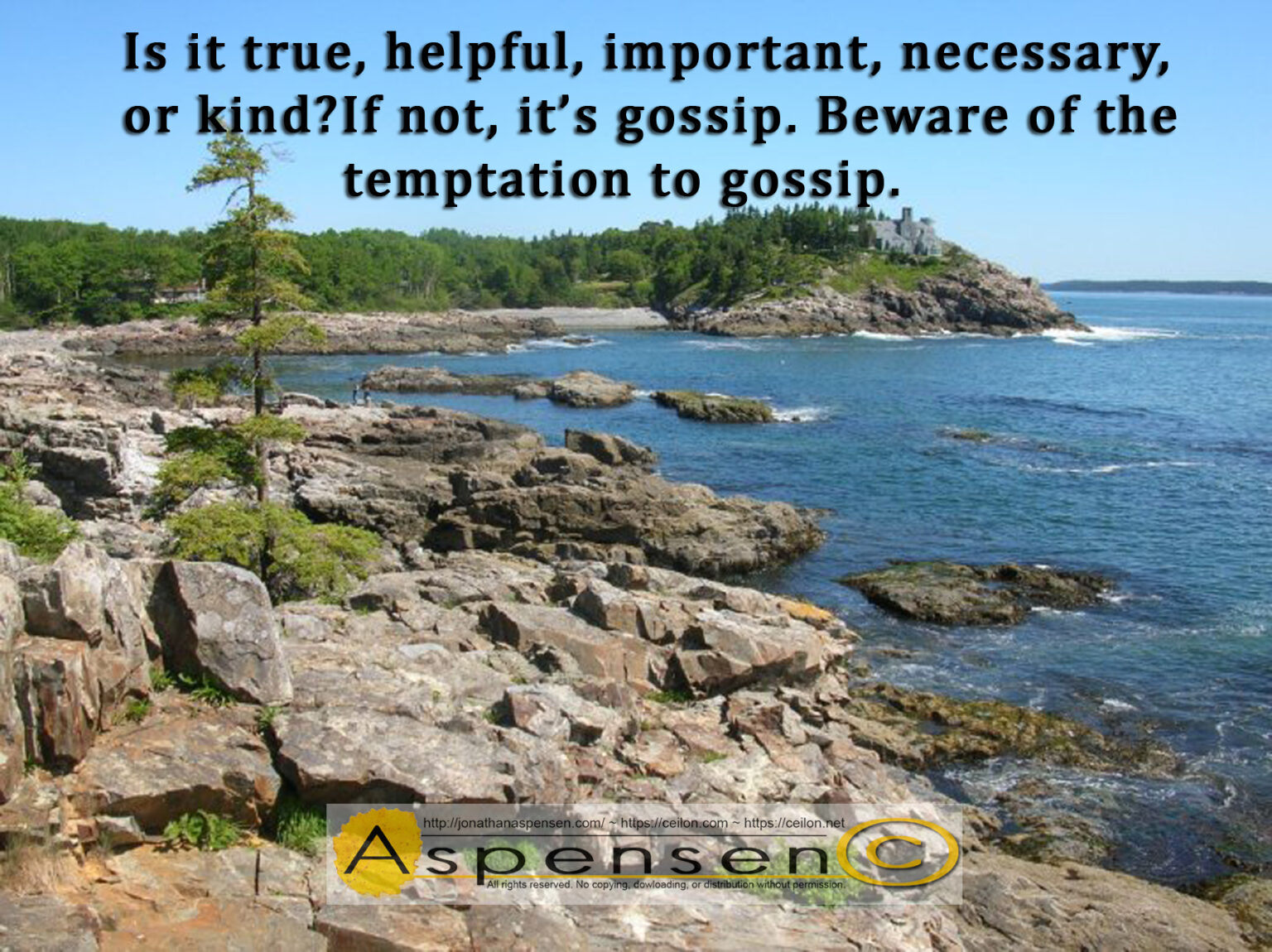 Is It True Helpful Important Necessary Or Kind Ceilon Aspensen is-it-true-helpful-important-necessary-or-kind-ceilon-aspensen